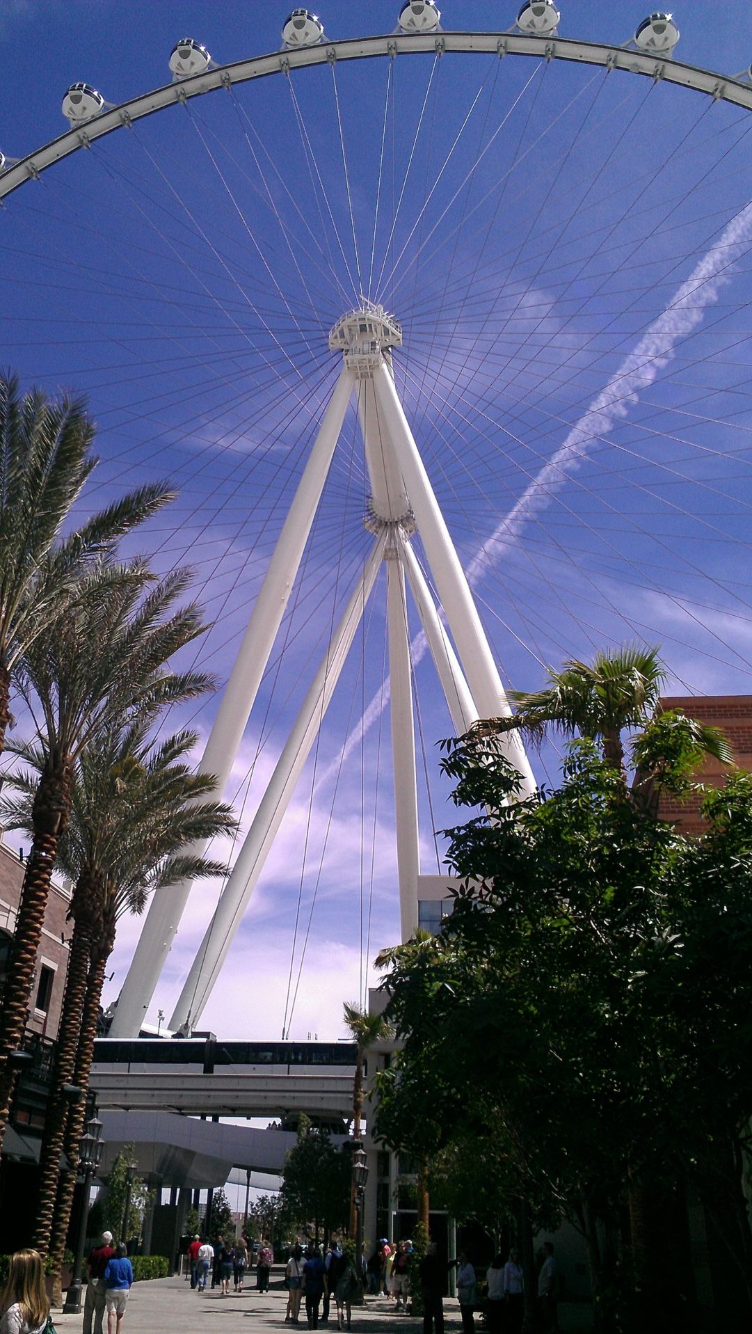Las Vegas Ferris Wheel